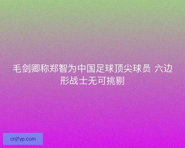 毛剑卿称郑智为中国足球顶尖球员 六边形战士无可挑剔