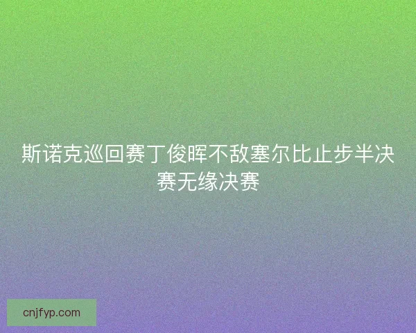 斯诺克巡回赛丁俊晖不敌塞尔比止步半决赛无缘决赛